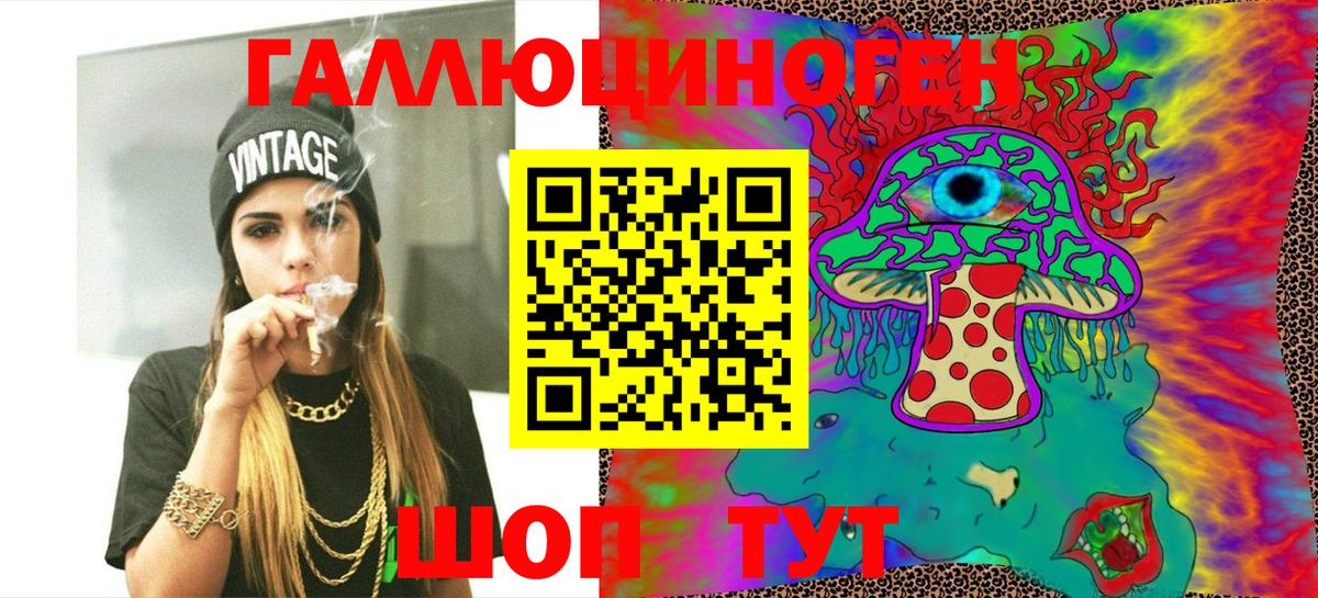 Галлюциногенные грибы Psilocybe Новоалександровск