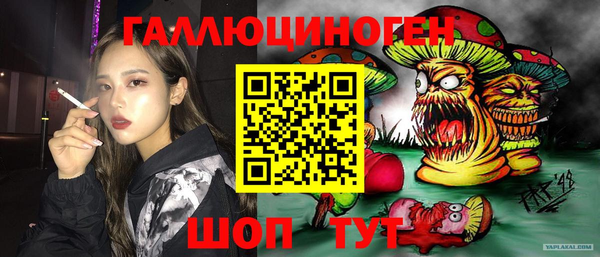 Псилоцибиновые грибы мицелий  Вход с VPN  как найти   Новоалександровск 